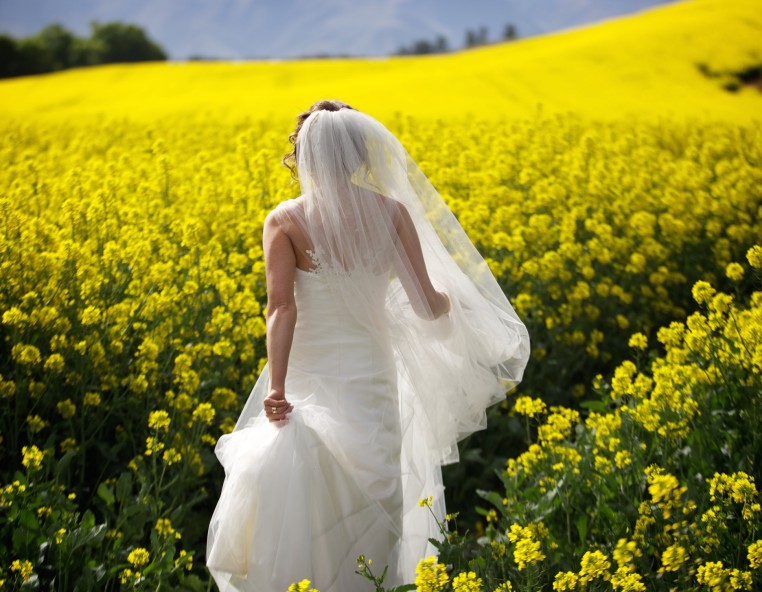 Ever After - Wedding photography and videography, Wanaka, Queenstown Lakes, Central Otago, New Zealand